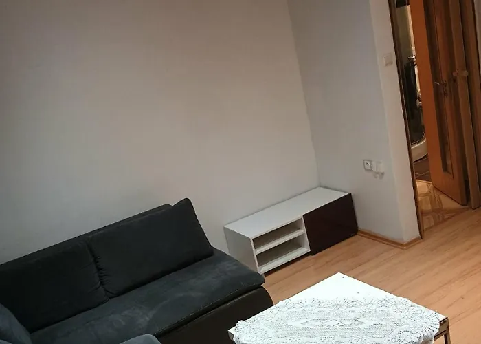 Centrum Czeski Cieszyn Apartman *